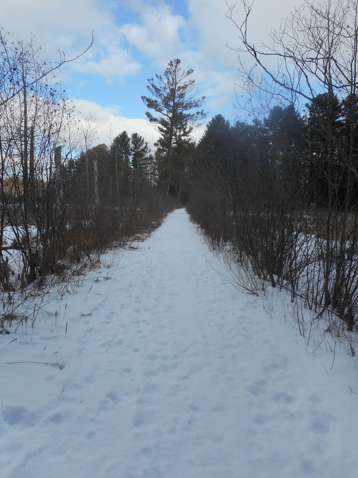 Canoe carriage road